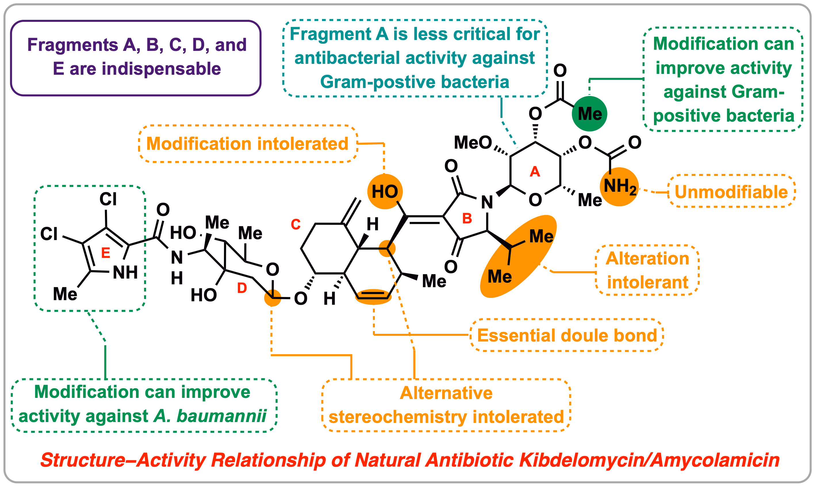 《20241009-Angew. Chem-李超-圖2. AMMKBD結(jié)構(gòu)-活性關(guān)系》.jpg