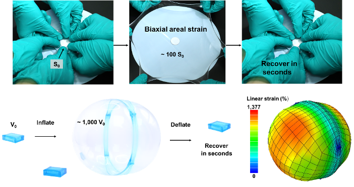 20240408-科研發(fā)文-王朝-2.png