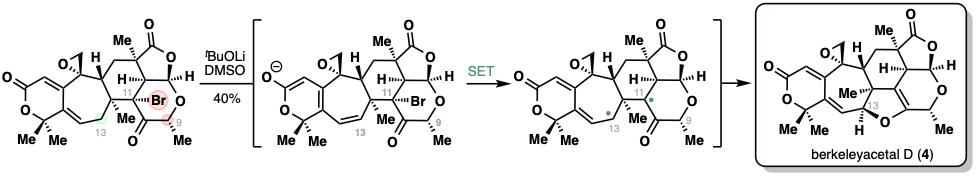 20250211-JACS-李超-4. 單電子轉(zhuǎn)移（SET）構(gòu)建二氫呋喃環(huán)的發(fā)現(xiàn).jpg