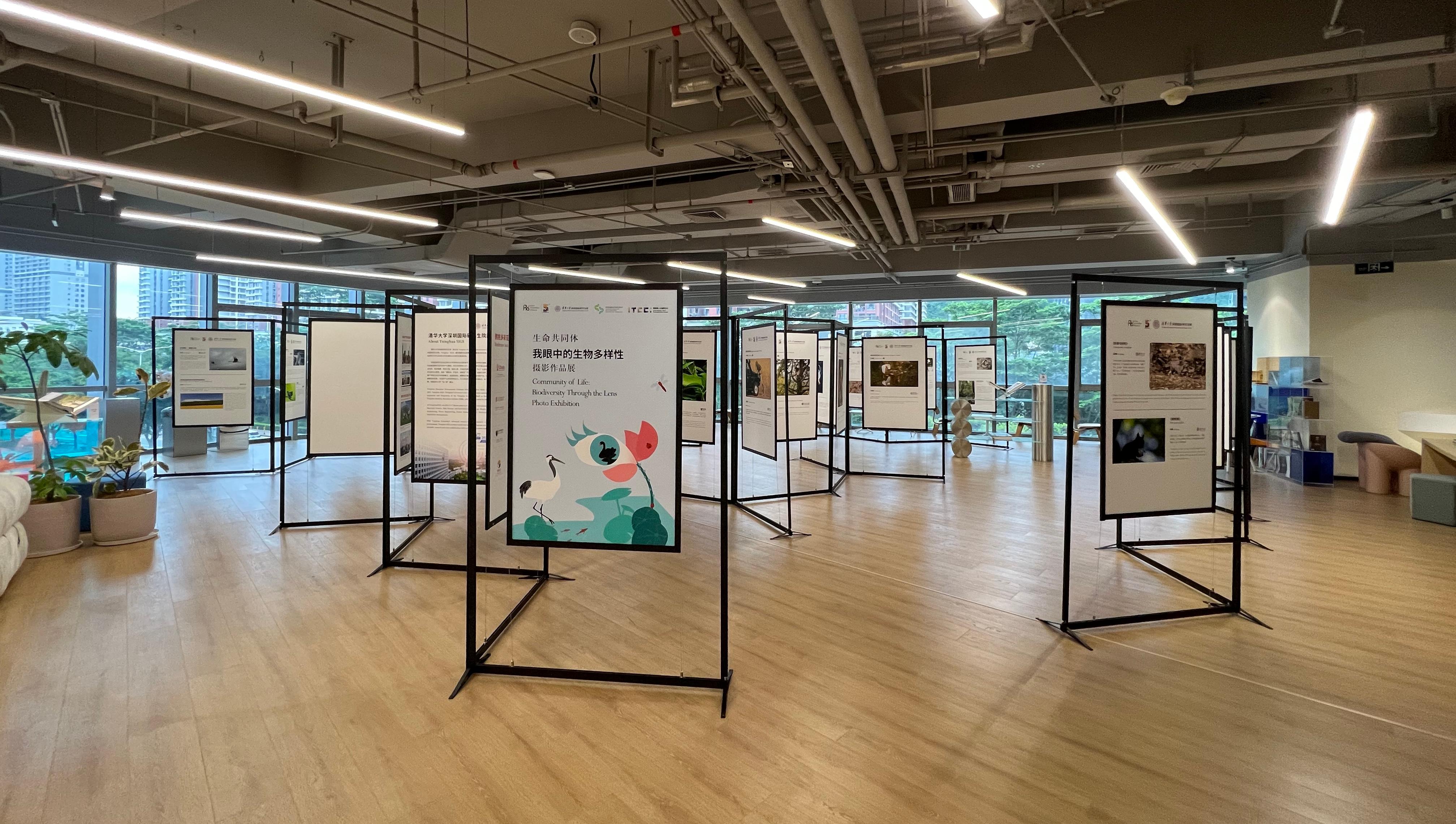 20220607-展覽現(xiàn)場-深圳國際研究生院-深圳國際研究生院.jpg