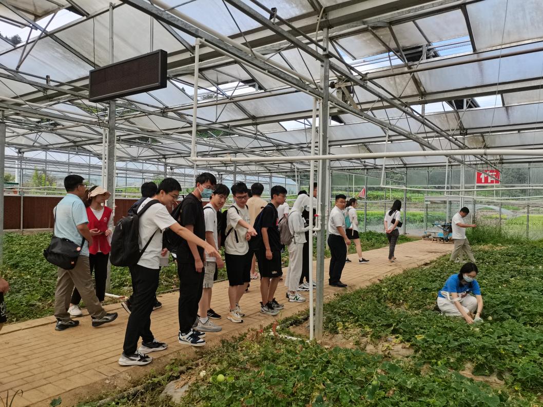 20220808-0814-清華大學(xué)“林楓計(jì)劃”師生赴江西贛縣區(qū)調(diào)研實(shí)踐-馬小涵攝-支隊(duì)師生參觀五云鎮(zhèn)夏潭村蔬菜研學(xué)基地.jpg