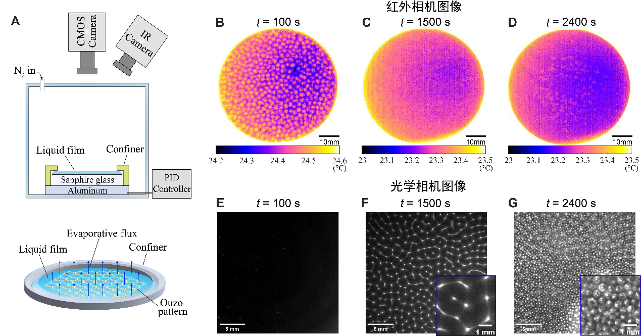 20250213-能動(dòng)系-孫超課題組科研進(jìn)展-圖片 1.png