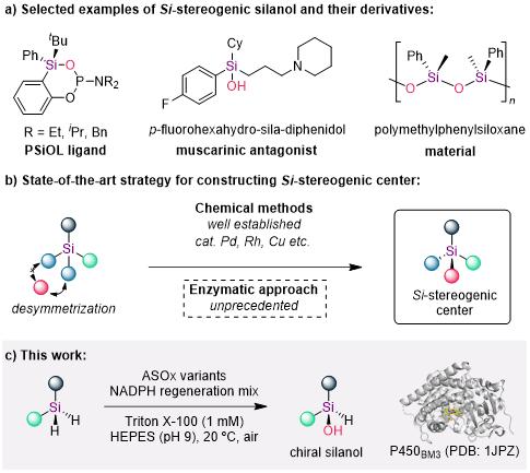 20250407-Angew. Chem. -劉臻-1. 手性硅醇的去對稱化合成策略.jpg