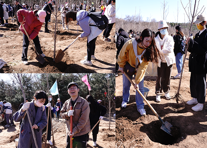 20230312-清華大學(xué)師生紅螺山植樹(shù)活動(dòng)圓滿(mǎn)結(jié)束-教研院-師生們熱火朝天地植樹(shù)4.png