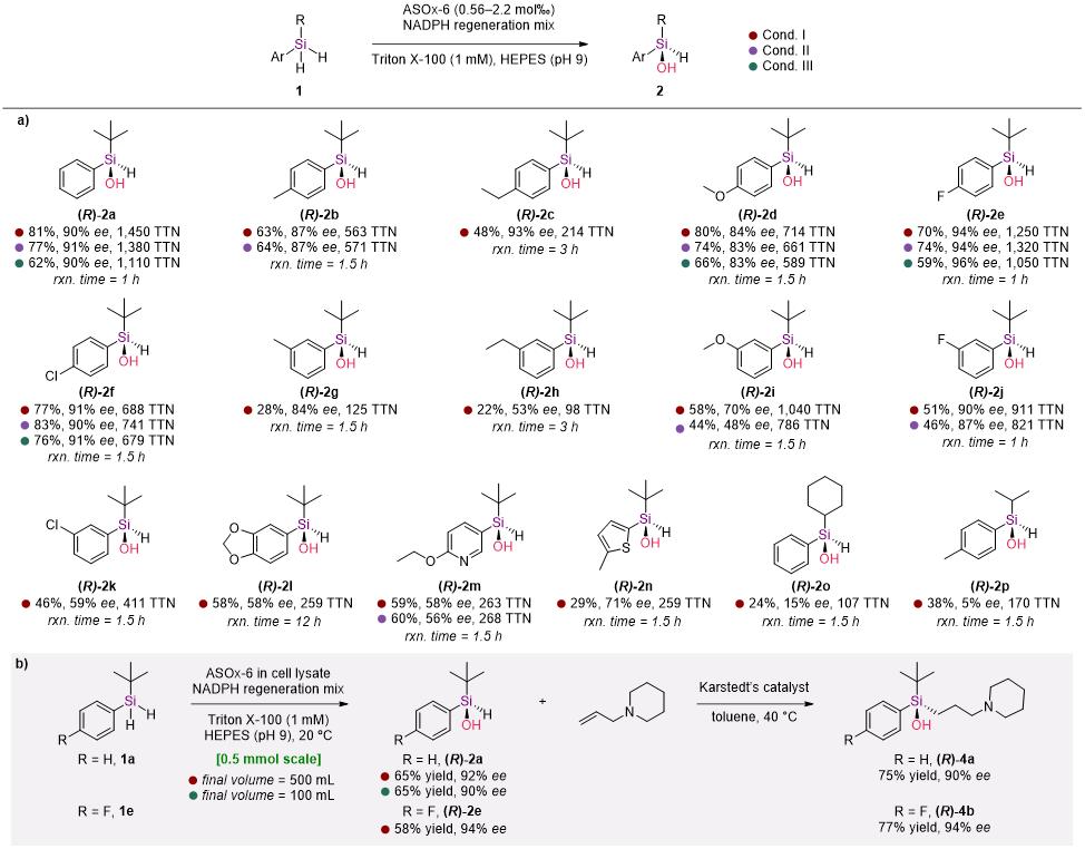 20250407-Angew. Chem. -劉臻-3. 底物適用性拓展與合成應用探索.jpg