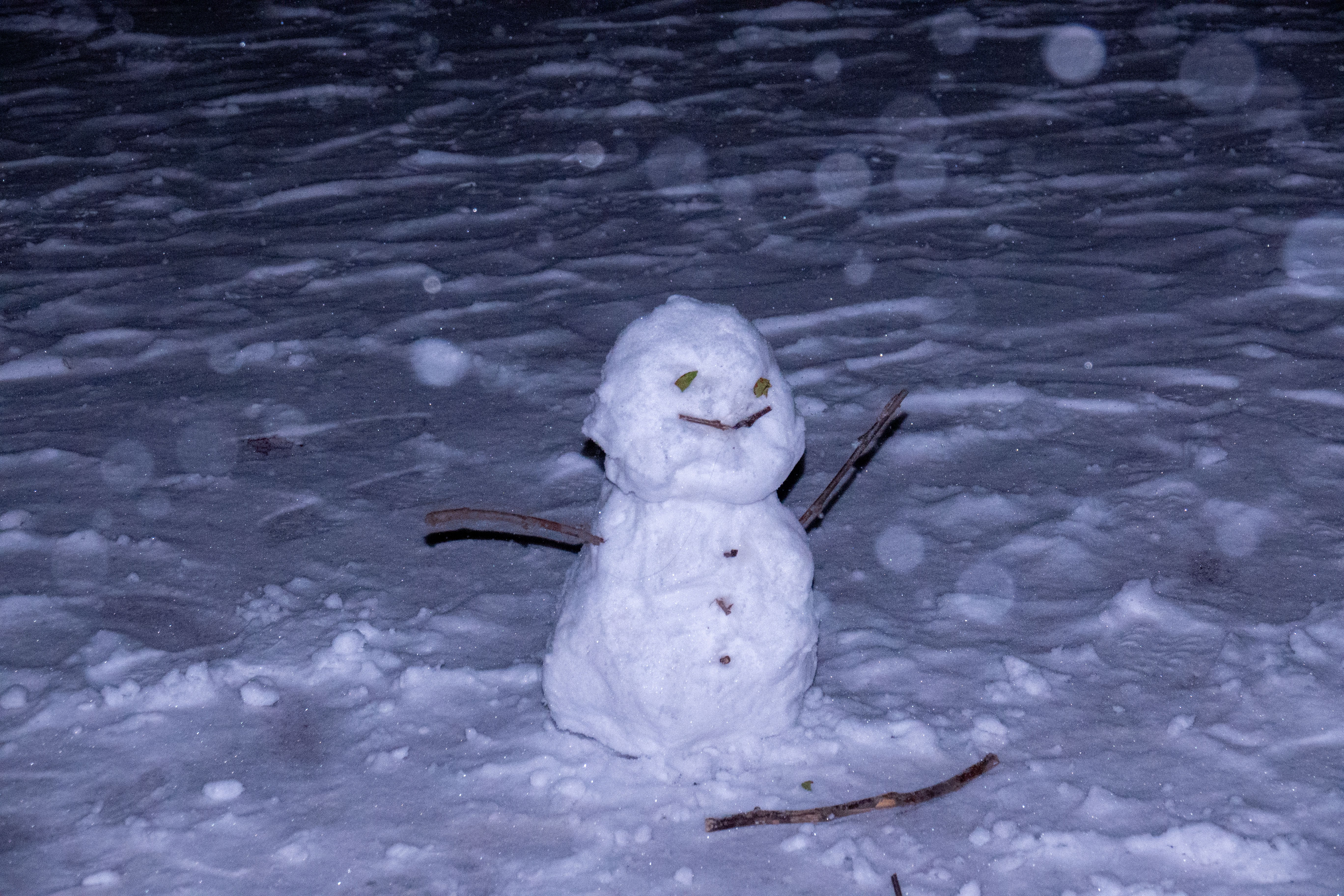 20231211-雪9-清華-供圖.jpg